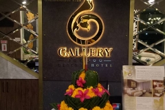 23032529_682584605245602_8356885075272371765_n